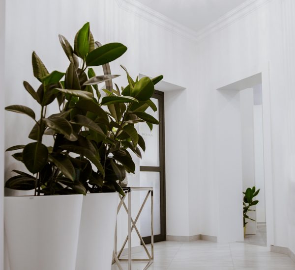 makijaż pernamentny katowice